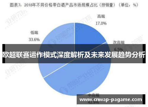 欧超联赛运作模式深度解析及未来发展趋势分析 欧超联赛运作模式深度解析及未来发展趋势分析