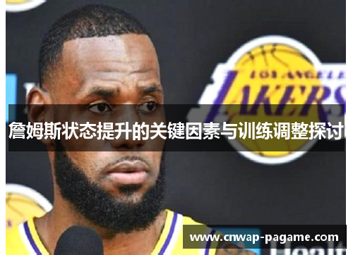 詹姆斯状态提升的关键因素与训练调整探讨