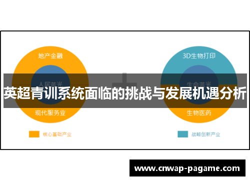 英超青训系统面临的挑战与发展机遇分析