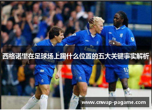 西格诺里在足球场上踢什么位置的五大关键事实解析