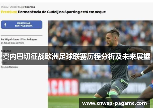 费内巴切征战欧洲足球联赛历程分析及未来展望