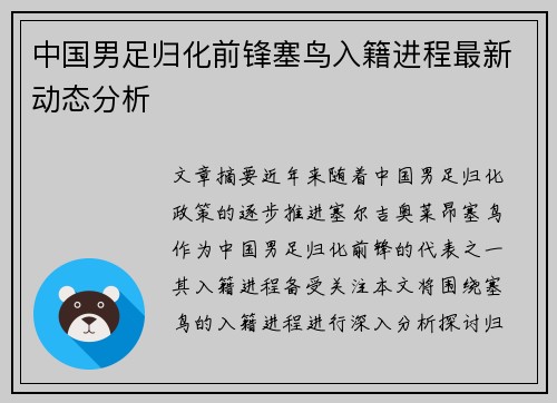 中国男足归化前锋塞鸟入籍进程最新动态分析